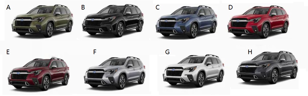 Colour Availability of Subaru Ascent 2026
