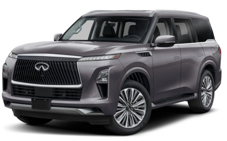 Colour AvailabilityInfiniti QX80 2026 (1)