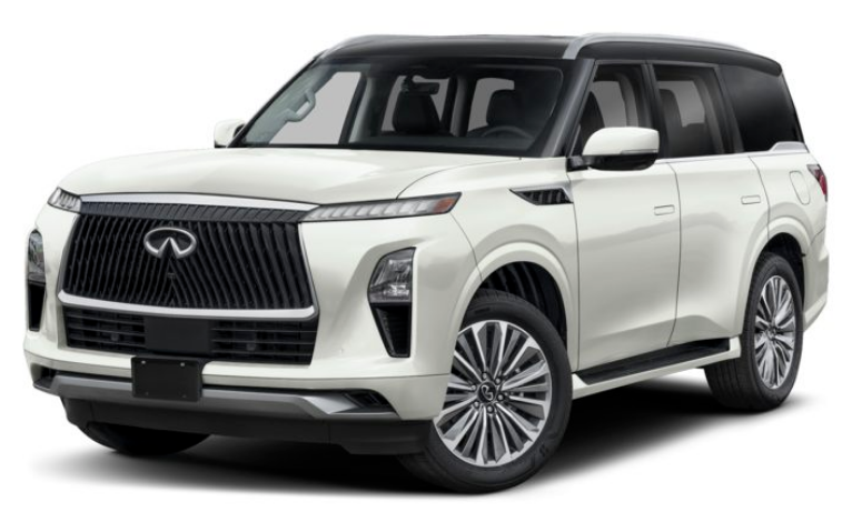 Colour AvailabilityInfiniti QX80 2026 (10)
