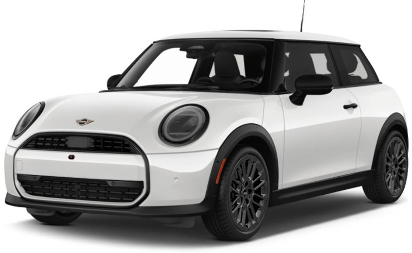 Nanuq White Metallic