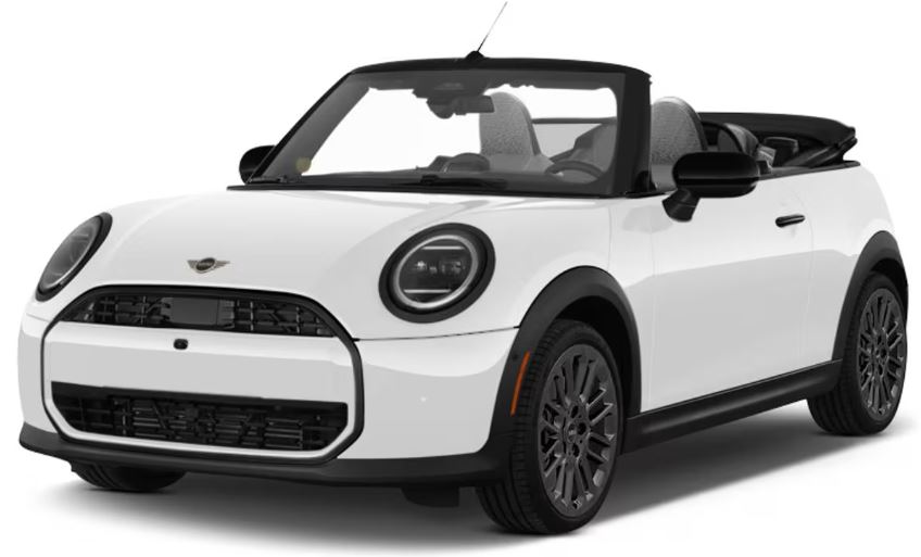 Nanuq White Metallic