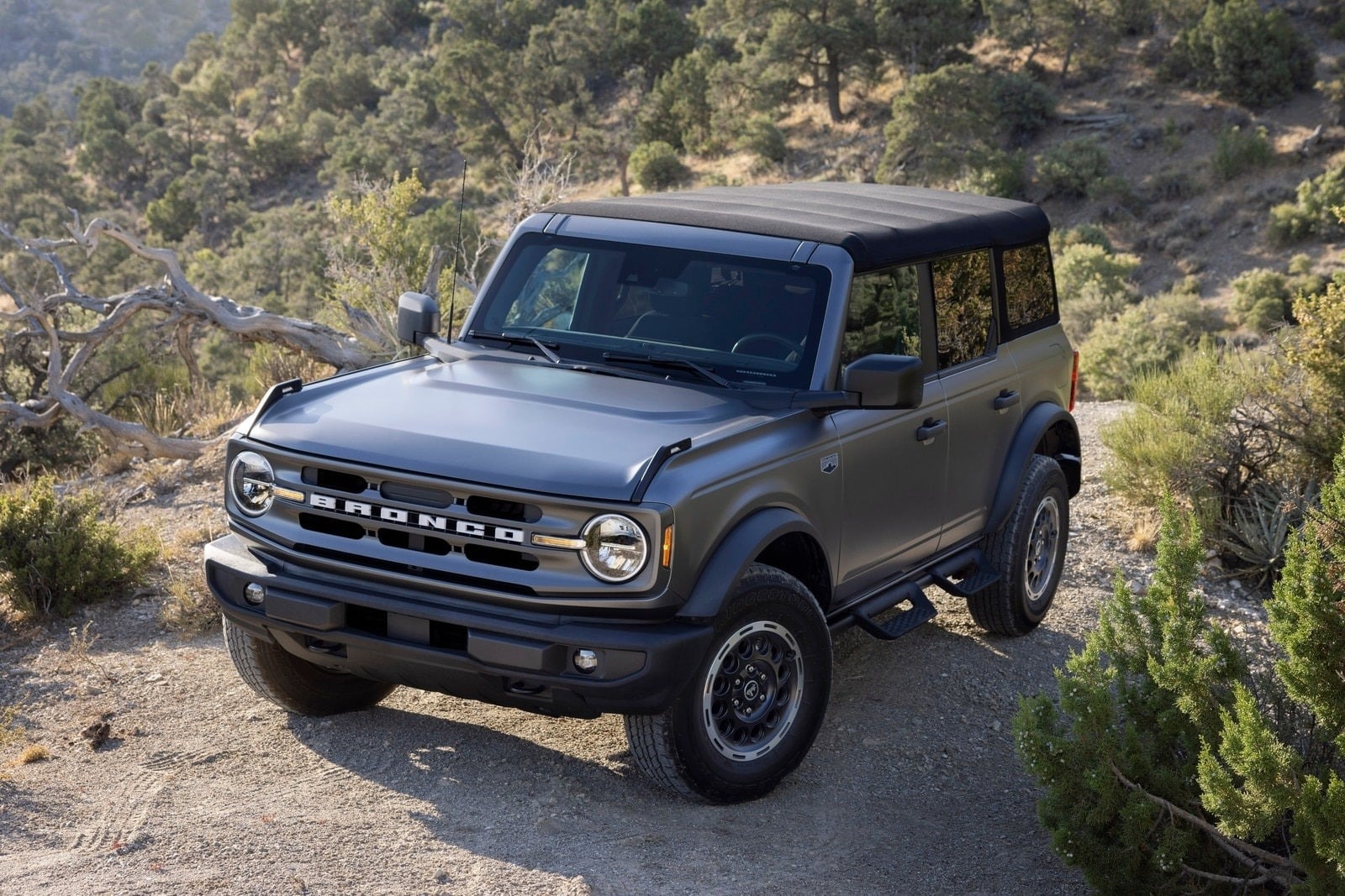 Number 4 2025 Ford Bronco fig-1