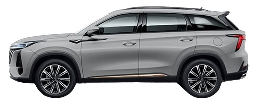 Andes Grey