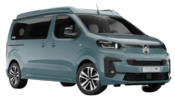Metallic kapari green