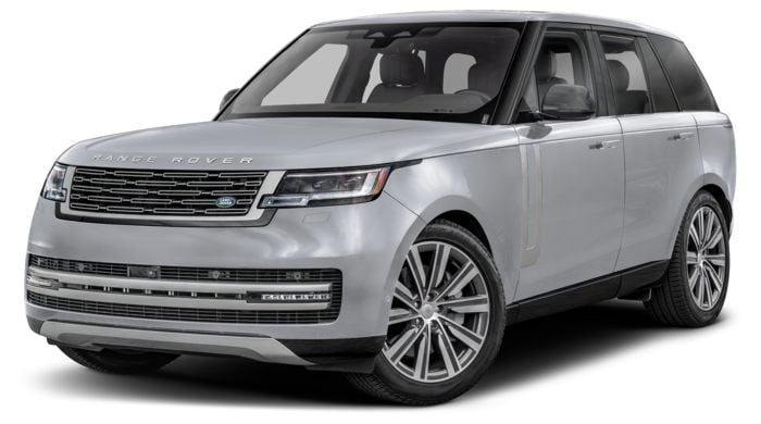 Borasco Gray Metallic
