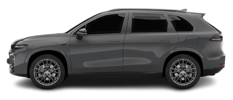 Leapmotor C10 2026 Canopy_grey