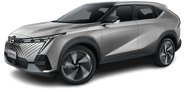 GAC EMKOO 2026 Grey