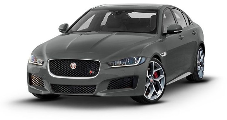 Carpathian Grey-