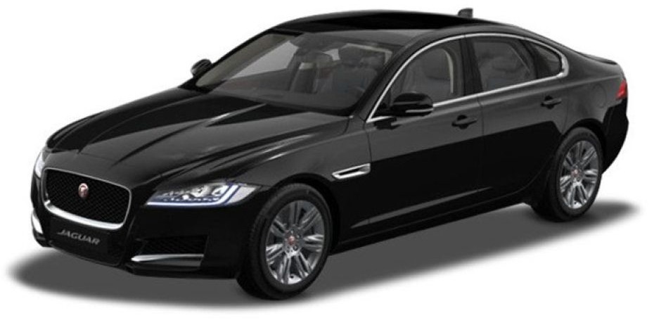 Ebony Black