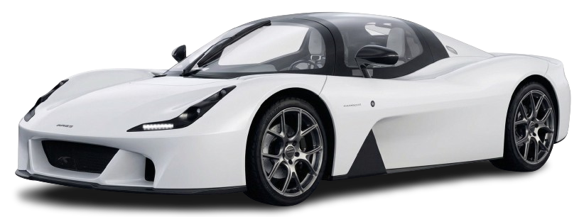 WHITE-