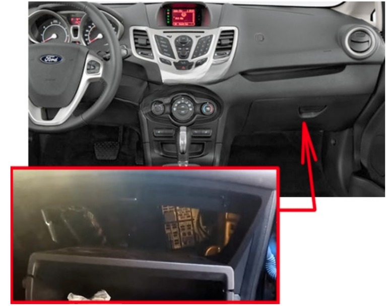 Ford-Fiesta-2009-–-2010-fig-1