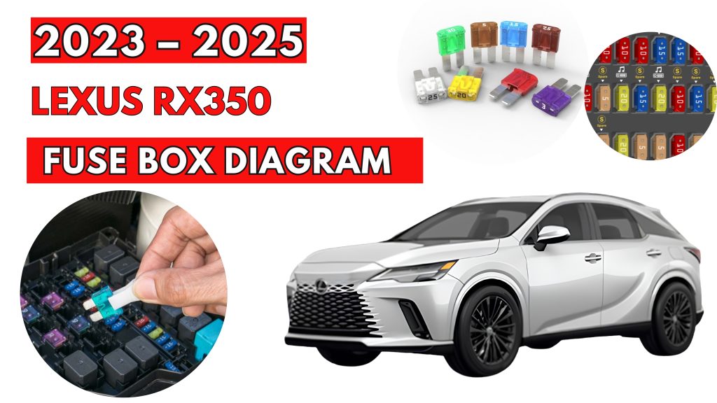 Lexus RX350 (2023 – 2025) Fuse Box Location & Diagrams