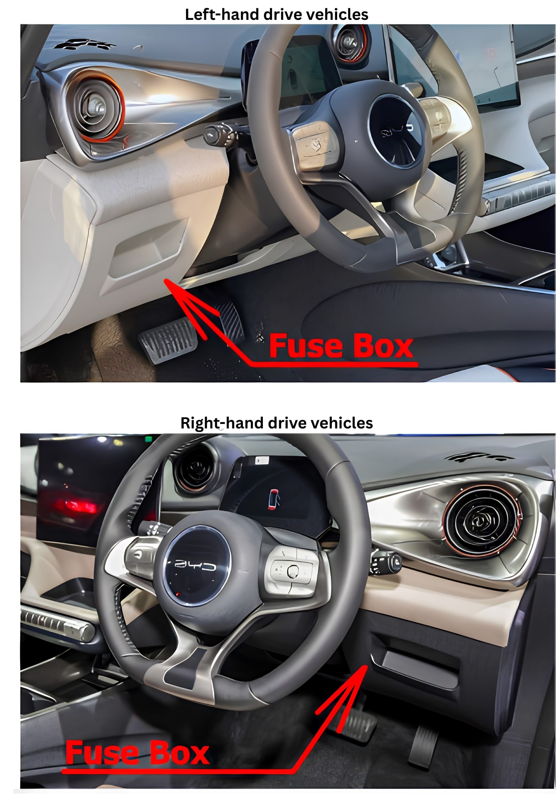 BYD-Dolphin-2021-2023_PASSENGER-compartment-location