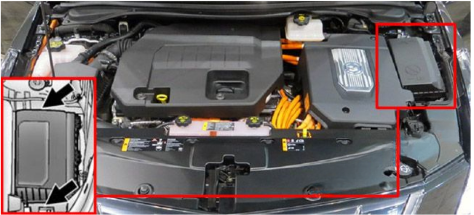 Engine Compartment Location