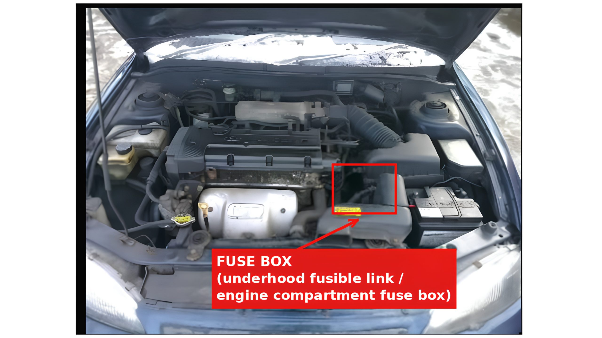 Hyundai Elantra (1990 - 1995) ENGINE COMPARTMENT LOCATION