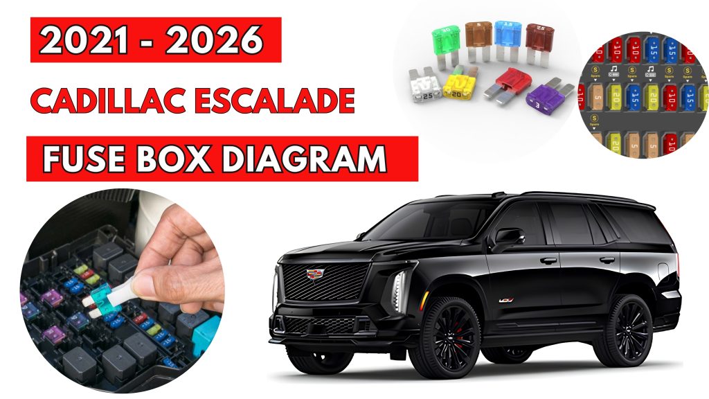 Cadillac Escalade (2021 - 2026) Fuse Box Location & Diagrams