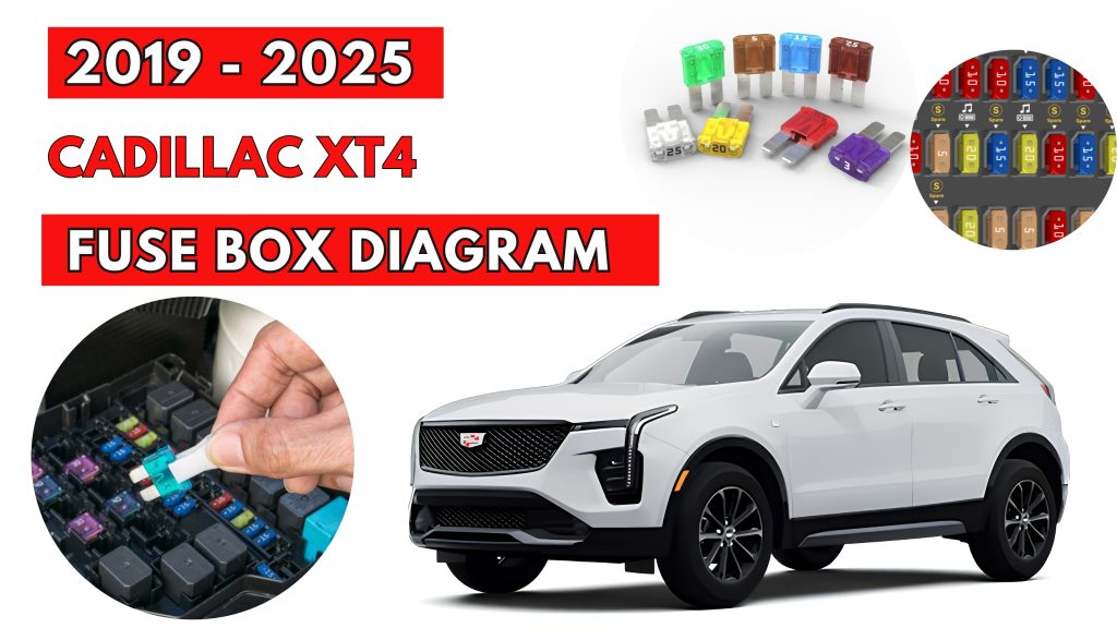 Cadillac XT4 (2019 - 2025) Fuse Box Location & Diagrams