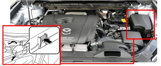 Engine Compartment Fuse Box Location