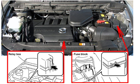 Engine Compartment Fuse Box Location