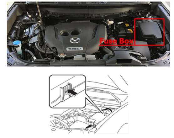Engine Compartment Fuse Box Location