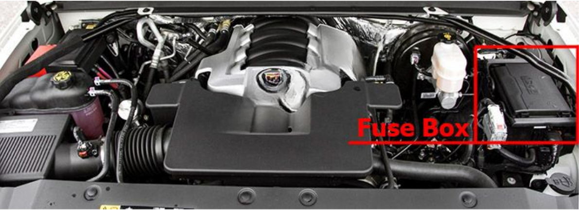 Engine Compartment Location