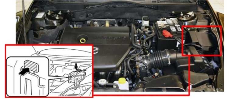 Engine Compartment Location