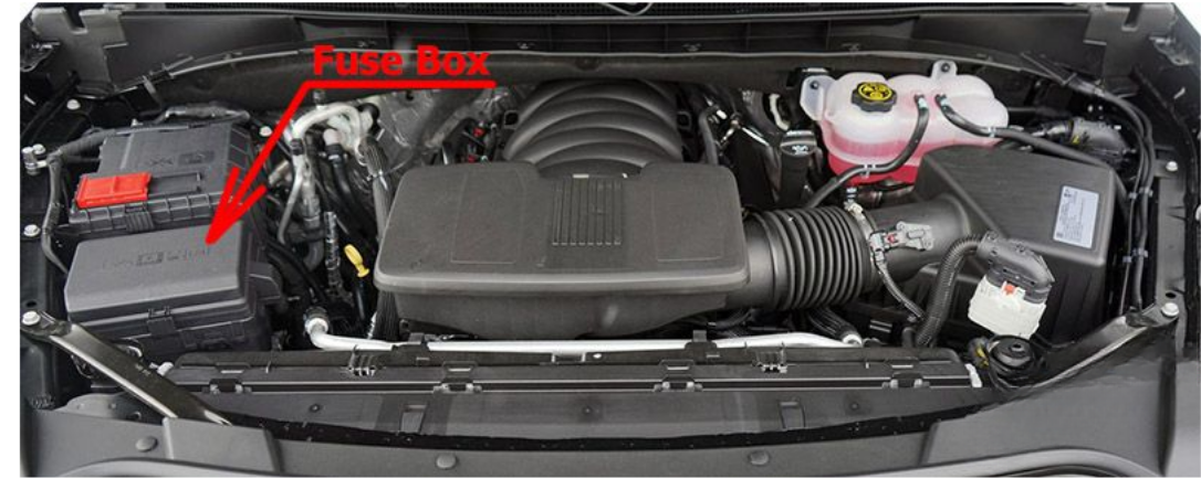Engine Compartment Location
