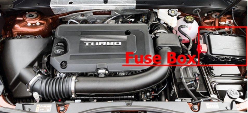Engine Compartment Location