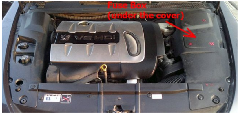 Engine Compartment Fuse Box Location