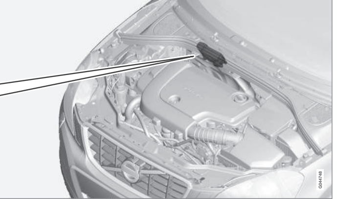 Fuses - in the engine compartment's location