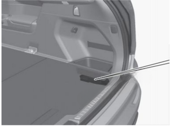 Luggage Compartment Fuse Box Location