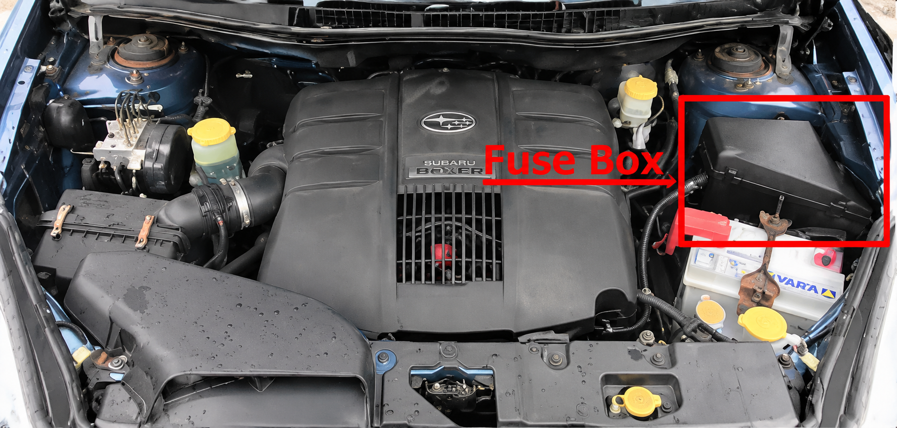 Subaru Tribeca B9 (2006 & 2007) Engine Compartment Fuse Box Location